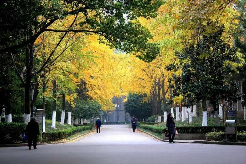 蘇州大學考研_民商法專業_學霸超實用高分復習經驗