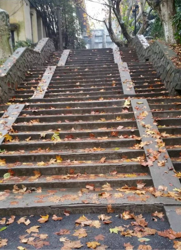 南京師范大學新生隨園校區生活攻略,南師大最貼心的隨園校區圖解