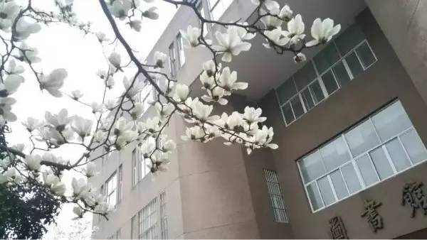 南京師范大學新生隨園校區生活攻略,南師大最貼心的隨園校區圖解