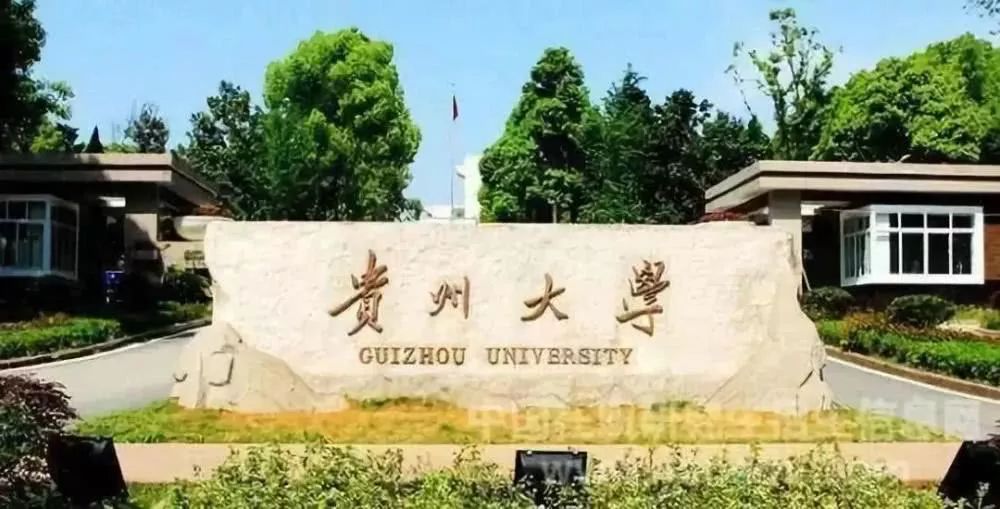 中國大學校區數量排行榜！你學校有幾個？